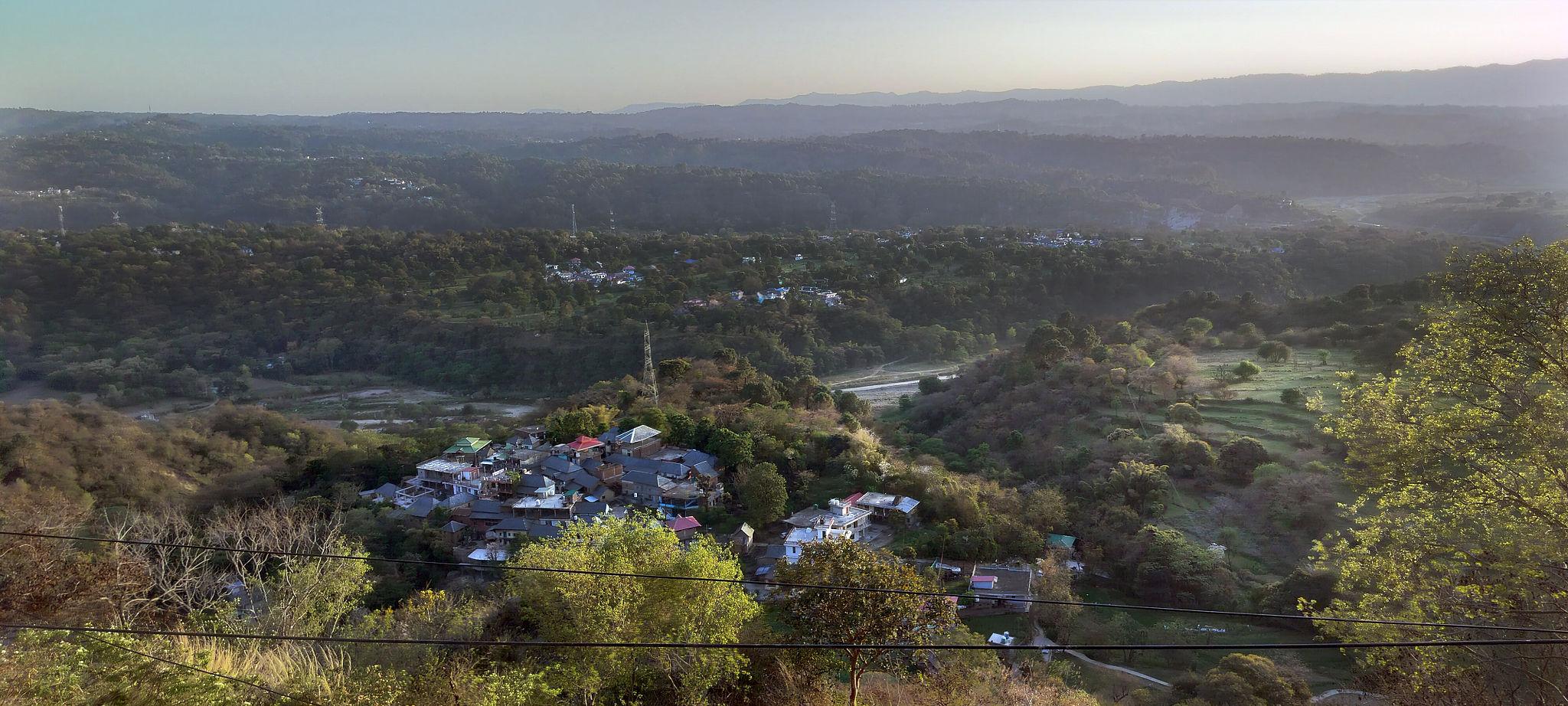 Software company in Hamirpur providing billing software and IT services